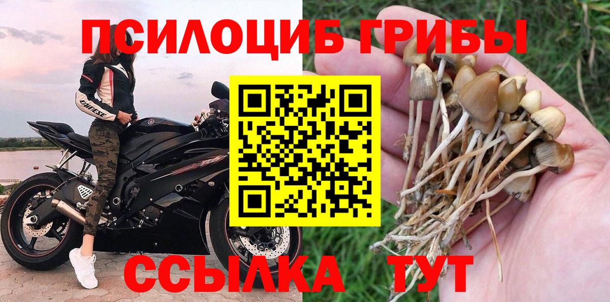 Псилоцибиновые грибы ЛСД Улан-Удэ