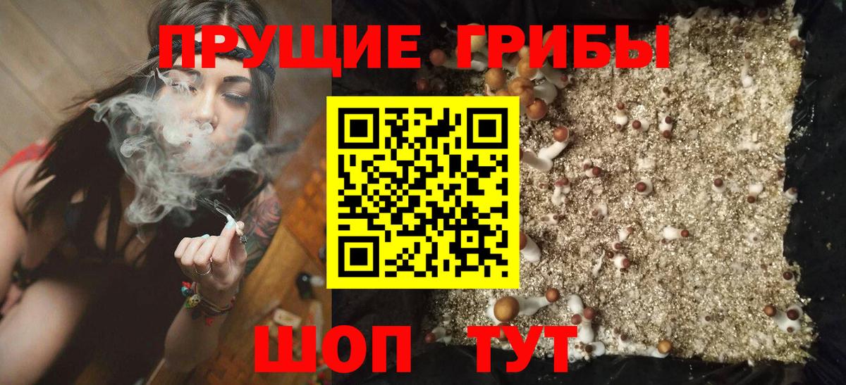 Галлюциногенные грибы ЛСД  Псилоцибиновые грибы MAGIC MUSHROOMS  Улан-Удэ  Вход с VPN 